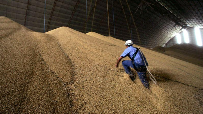 Exportações de grãos e oleaginosas dos EUA aumentam em 2024 sem impulso da China