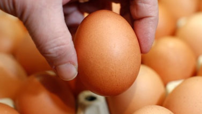 No ano passado os ovos comercializados na granja tiveram pequena melhora no índice de participação em relação ao varejo