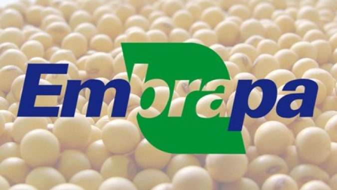 Câmara analisará projeto que isenta Embrapa do pagamento de taxas