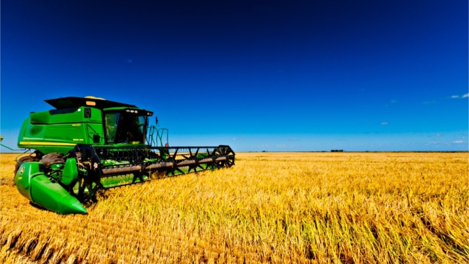 Arroz: em pleno período de colheita, indicador sobe mais de 10%