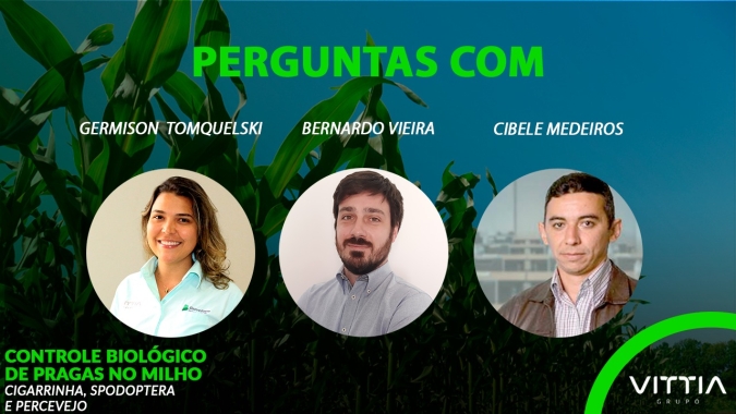 Vittia - Perguntas finais