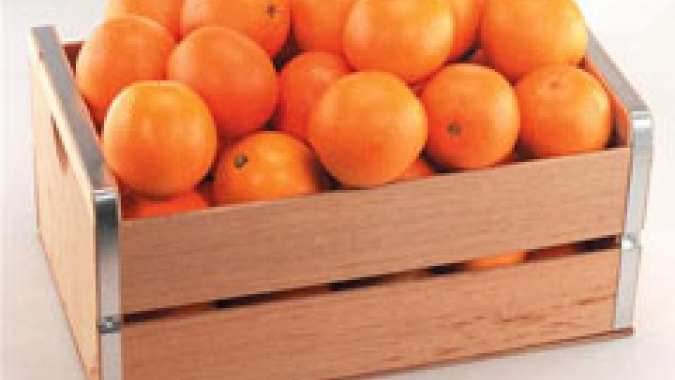 Mais dois leilões de Pepro e PEP para escoamento da laranja no RS ocorrem no dia 29/09