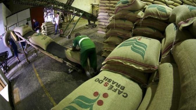 Exportação de café verde do Brasil recua quase 36% em maio com baixa oferta, diz Cecafé