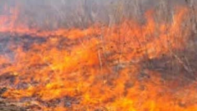 Alerta: próximas semanas são de possíveis incêndios