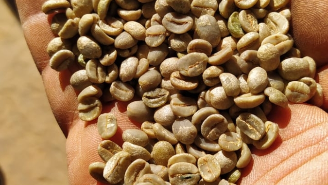Café: NY sobe mais de 4% na semana apoiado no clima e estoques reduzidos nos EUA