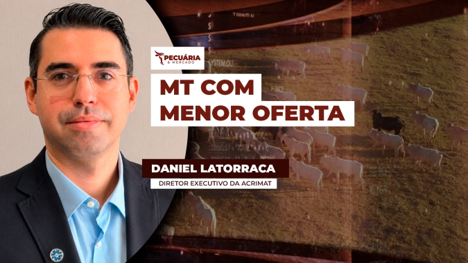 Acrimat prevê  menor oferta no segundo semestre com revisão no confinamento e menor abate de fêmeas