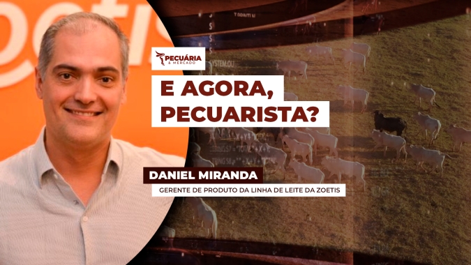 Falhas no início da vida do animal comprometem toda a produção