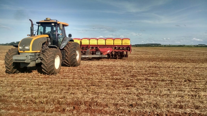 Plantio do milho avança para 41,9% no MT e é 22,68 pontos percentuais mais rápido do que o de 2021, diz Imea