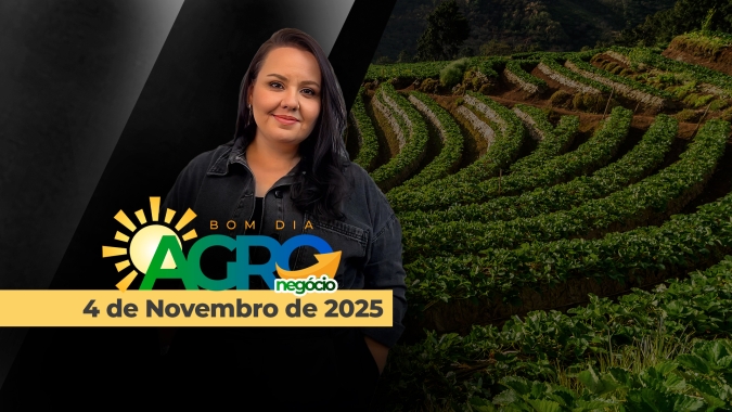 Bom dia Agronegócio 04/11/2025 - Clima no BR, pautas em Brasília, COP30 pra começar e treinamento para a imprensa do BR