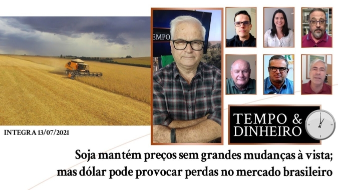 Soja mantém preços sem grandes mudanças à vista; dólar pode provocar perdas no mercado brasileiro
