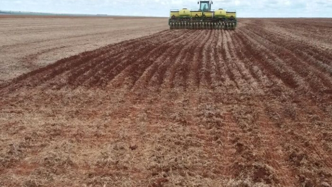 Chuva que atrasa a colheita da soja também trava avanço do plantio do milho no Mato Grosso