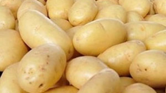Batata: perspectivas para 2020