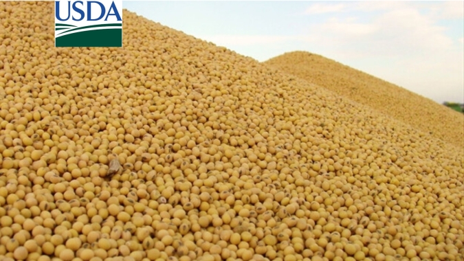 USDA: Embarques semanais de soja e trigo dos EUA ficam dentro das expectativas