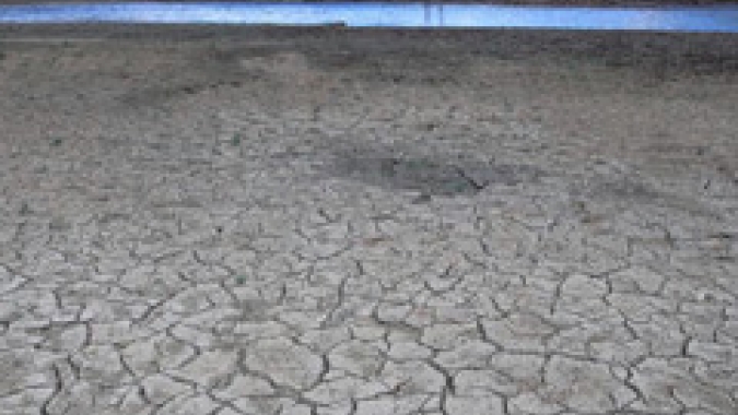Europa enfrenta a pior seca em 500 anos, diz estudo; safras sofrem