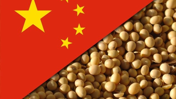 USDA informa venda de 129 mil t de soja para a China e mercado em Chicago monitora demanda