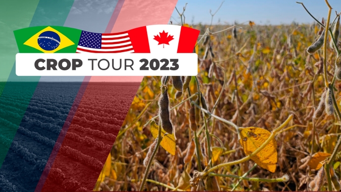 Nebraska e partes do oeste de Iowa têm produtividade da soja comprometida por falta de chuvas