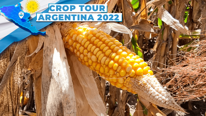 Crop Tour Argentina: Santa Fé tem muita irregularidade na soja e perdas graves no milho