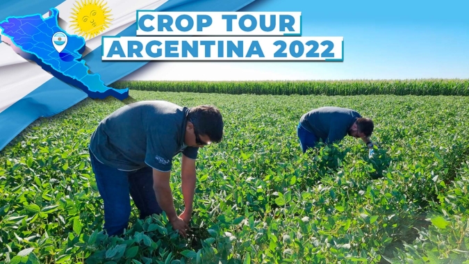 Crop Tour Argentina: Lavouras de soja em regiões de Córdoba têm bom porte, mas precisam de chuvas para não perder ainda mais potencial