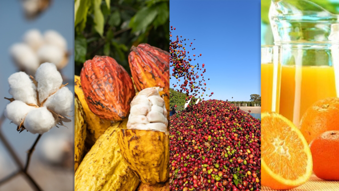 Softs commodities devem ter 2º semestre intenso, mas de oportunidades para o Brasil