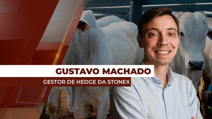 Analista vê com cautela recuperação de demanda interna por carne bovina