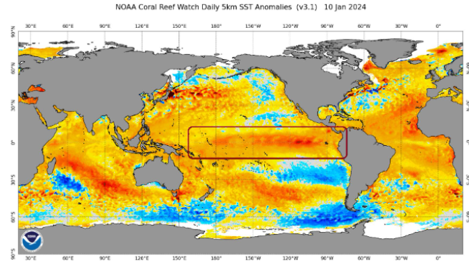 NOAA mantém El Niño até o final do Verão e fala em fase de neutralidade no outono