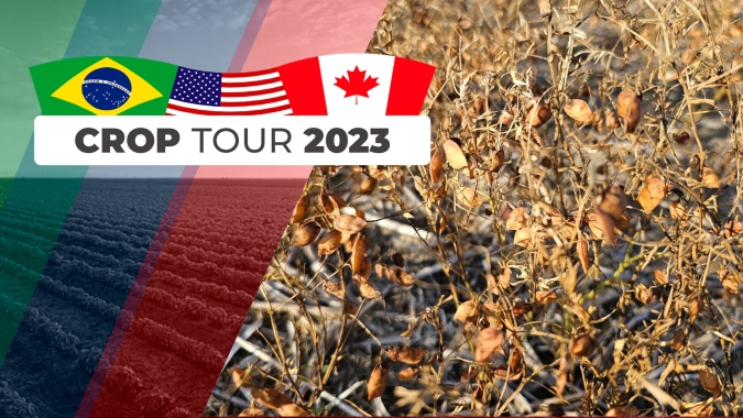 Crop Tour: Pelas estradas do Canadá, registros de feijão, batata e lentilhas