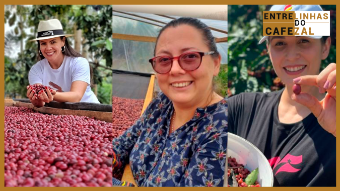 Robustas Amazônicos: A produção de cafés resultou em um dos movimentos mais importantes da cafeicultura nacional
