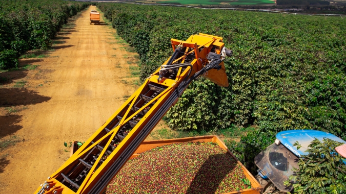 Café: Com previsão de tempo estável em Minas Gerais, preços finalizam com baixas