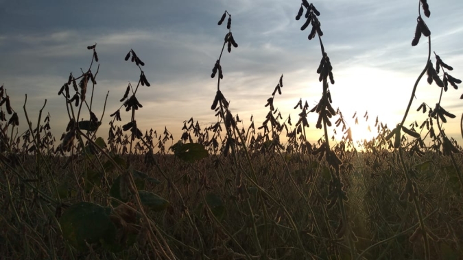 Fundos de investimento podem aumentar produção e sustentabilidade do agro, diz Mapa