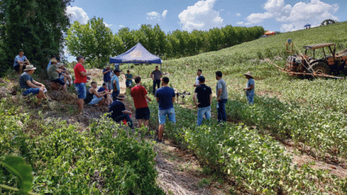 Dia de Campo em Guaporé/RS apresenta tecnologia e manejo para soja