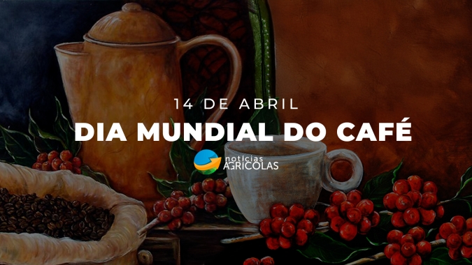 Dia Mundial do Café: o grão ou a xícara podem transformar vidas