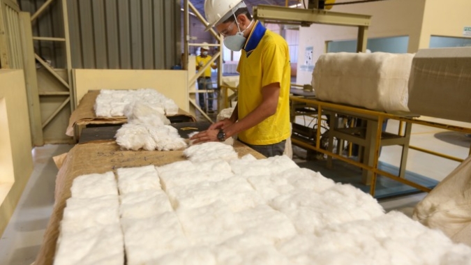 ABR-UBA certificou 114 unidades de beneficiamento, na safra 2023/2024