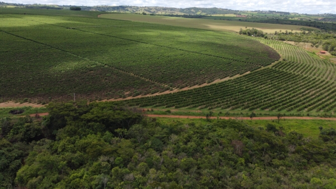 Cafeicultura Regenerativa é Tendência Global