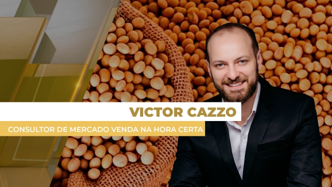 Estratégia de venda assertiva é o que garante o lucro no bolso do produtor, não a especulação na Bolsa.