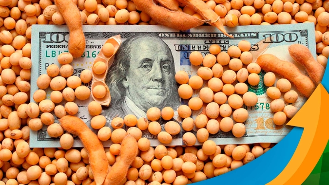 Retomada da produção argentina pode compensar eventuais perdas do Brasil e pressionar preços da soja, diz analista