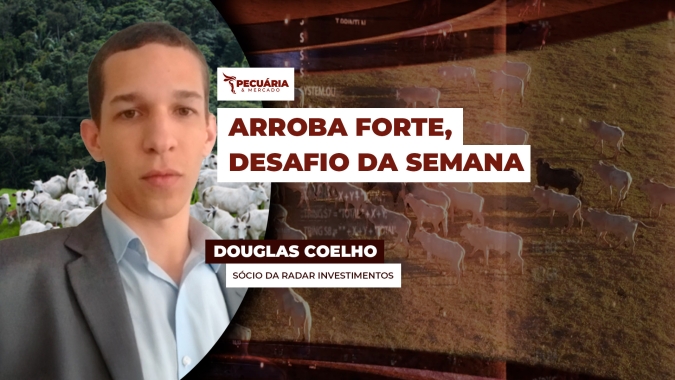 Projeções de vendas abaixo do esperado para o dia do pais não deve atrapalhar trajetória de alta da arroba