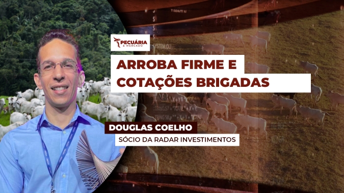 Junho começa com pecuaristas pedindo mais pela arroba em SP e frigoríficos evitando novas compras
