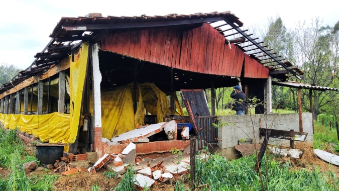 SC: Suinocultores têm granjas destruídas pelas chuvas e tentam fazer carregamento dos animais