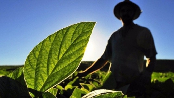 Comissões de Café e de Hortaliças e Flores da CNA debatem temas trabalhistas