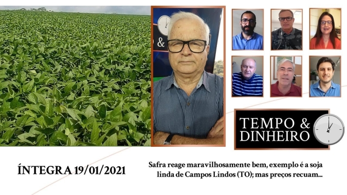Safra reage maravilhosamente bem, exemplo é a soja linda de Campos Lindos (TO); mas preços recuam...
