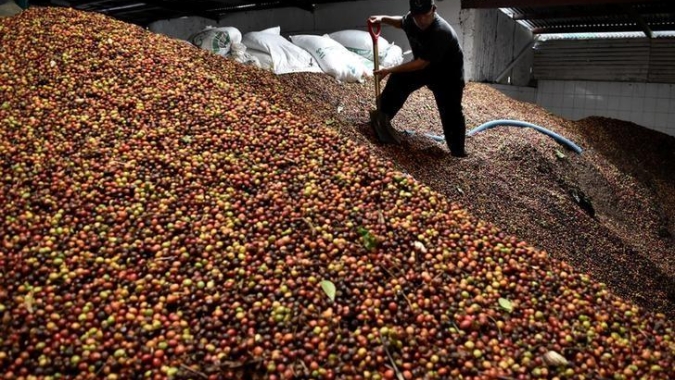 Café: Contratos futuros seguem operando com movimentações técnicas em NY