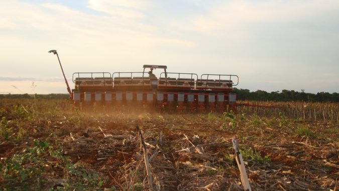Plantio de soja chega a 91% no Brasil; sul de MS ainda precisa de chuva