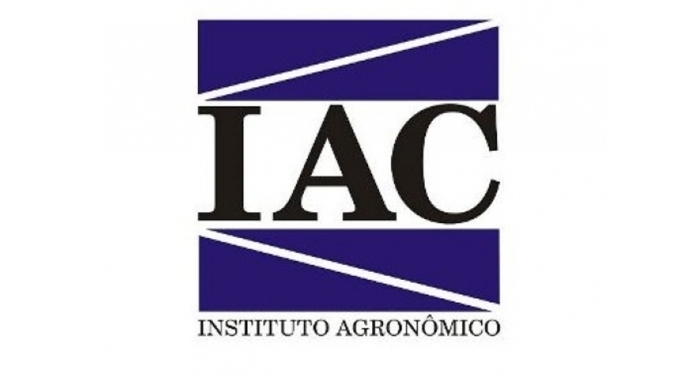 IAC recomenda estratégias de manejo na cana para aumento da produtividade agroindustrial