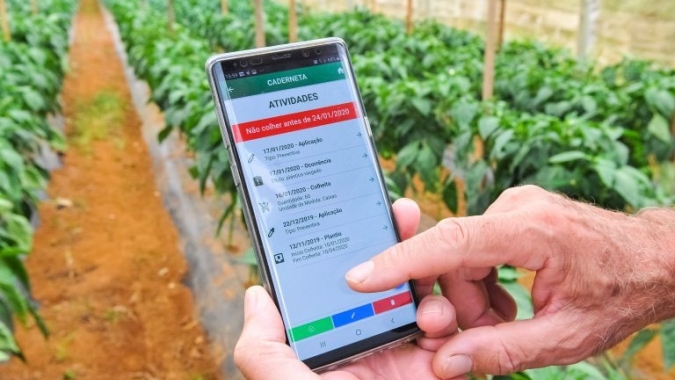 Agro vê baixo impacto da pandemia nos negócios e avanço digital, mostra pesquisa