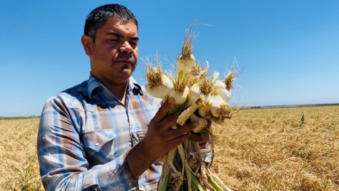 "Não tem água", diz gerente de fazenda da Califórnia (USA) forçado a desistir de plantio