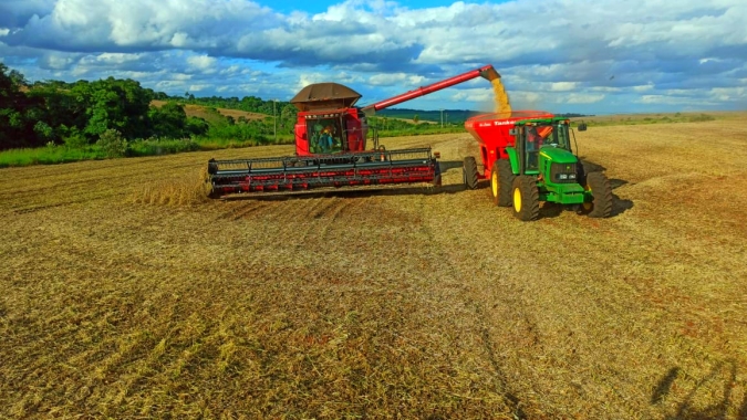 Paraná entra na reta final da colheita da soja e espera chegar às 20 milhões de toneladas produzidas