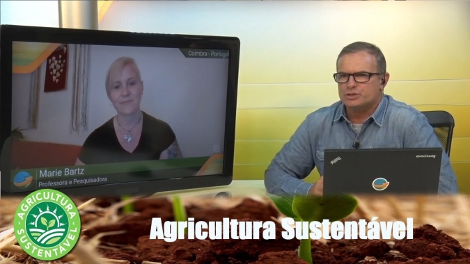 Você faz plantio direto na palha? em 33 milhões de ha, só há 10% de PDP, diz Marie Bartz