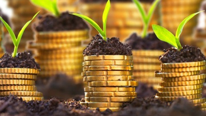 FecoAgro/RS analisa que Plano Safra foi o possível no atual cenário