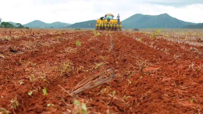 Londrina/PR plantou 80% da soja e estiagem já liga alerta para necessidade de replantios