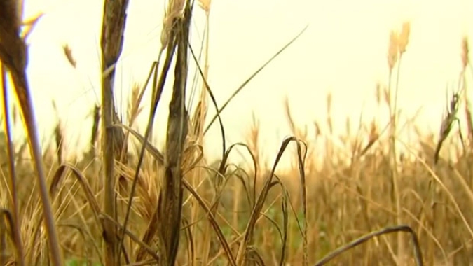 Com picos de frio e seca prolongada, inverno requer atenção dos setores de energia e agronegócio